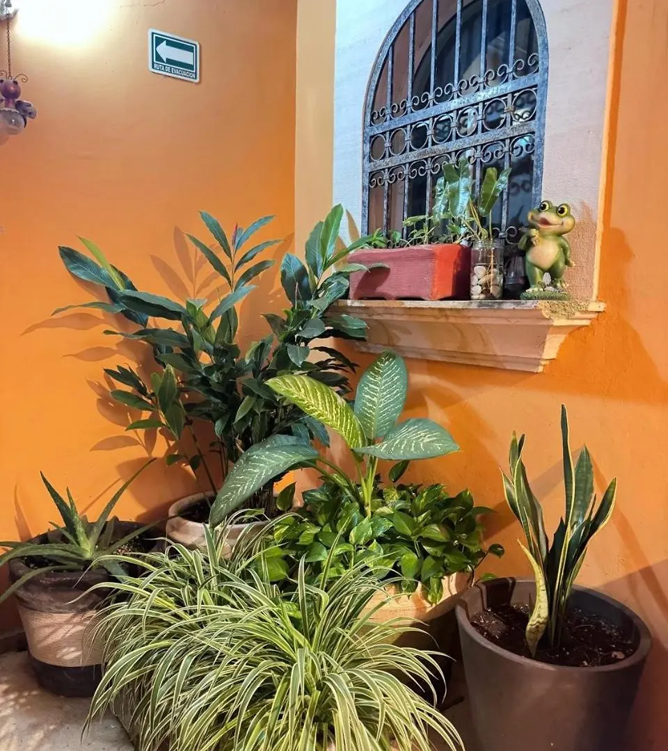 Hotel Casa Mallorca Cancun Mexico