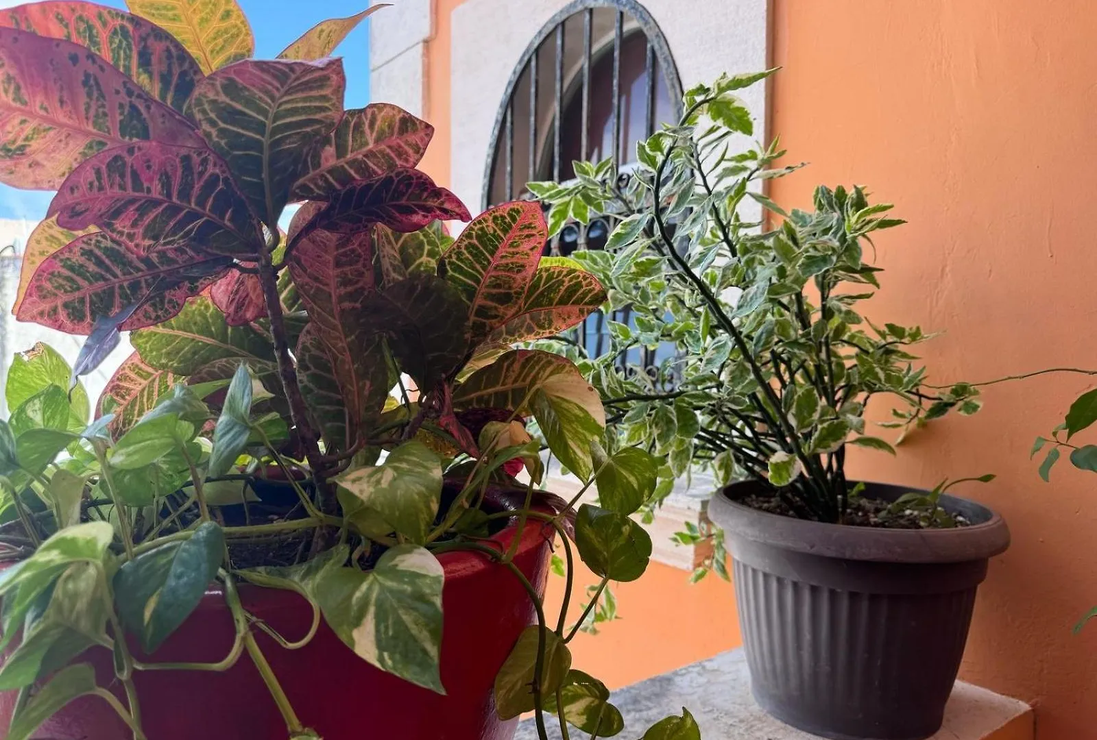 Hotel Casa Mallorca Cancún Mexiko